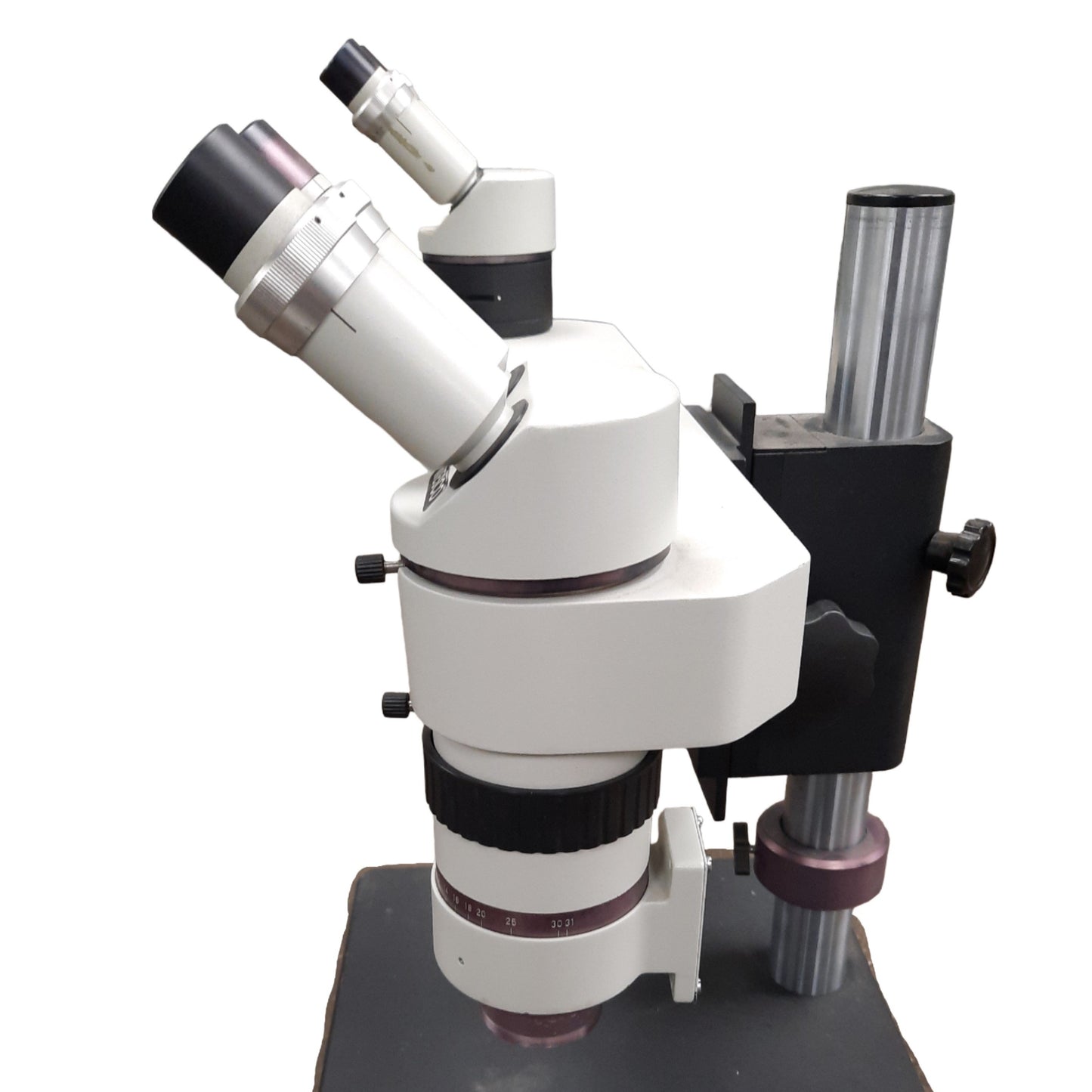 Used Wesco Dual Head Trainer Microscope With Objective and 10x/21 Eyepieces