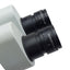 Used Olympus SZX9 Stereo Microscope, Magnification 6.3-57x With WHS10X-H/22 Eyepieces