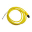 New Allen Bradley 889D-F4ACDM-2 Cordset, 4-Pin M12 Male to Leads, 4A 250VAC, 2m