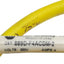 New Allen Bradley 889D-F4ACDM-2 Cordset, 4-Pin M12 Male to Leads, 4A 250VAC, 2m