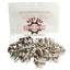 Used Lot of 30 MK Pollex Standard Wing Tab Fasteners, 40 Series Extrusion, M8 x 20mm