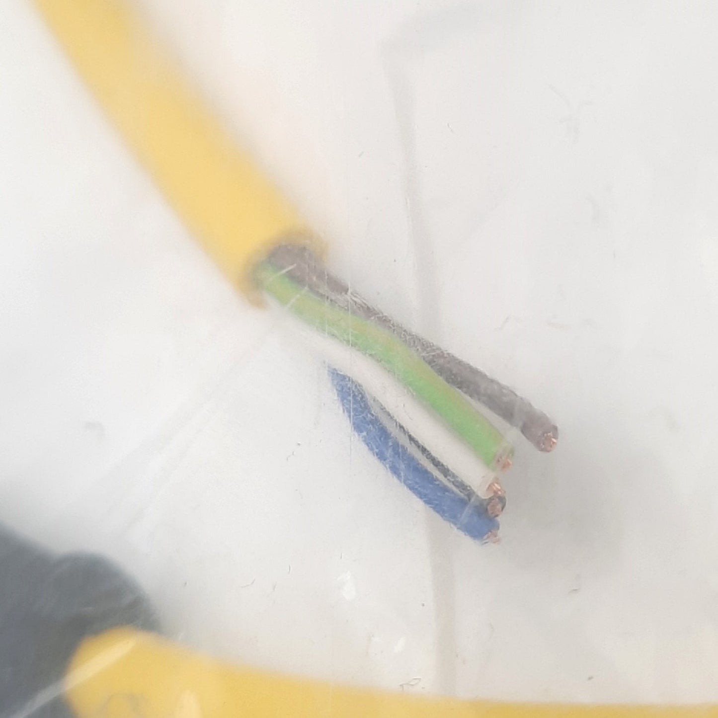 New Murr Elektronik 7000-12241-0150500 Cordset, M12 5-Pin Female, 125V, 5m Length