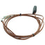 Used Watlow 20CJTUF100E Thermocouple, ø1/8in 90° Sheath w/ Epoxy 100in Lead, Type J