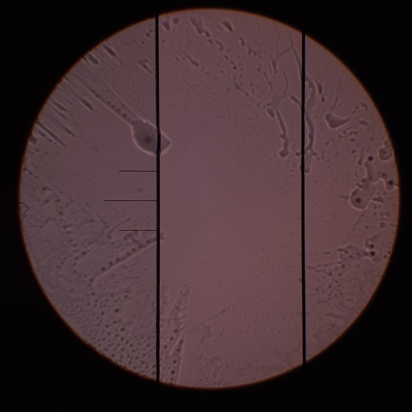 Used Beuhler Micromet 4 Micro Hardness Tester, RS232C, IEEE 488 GPIB, 110VAC *Lens*