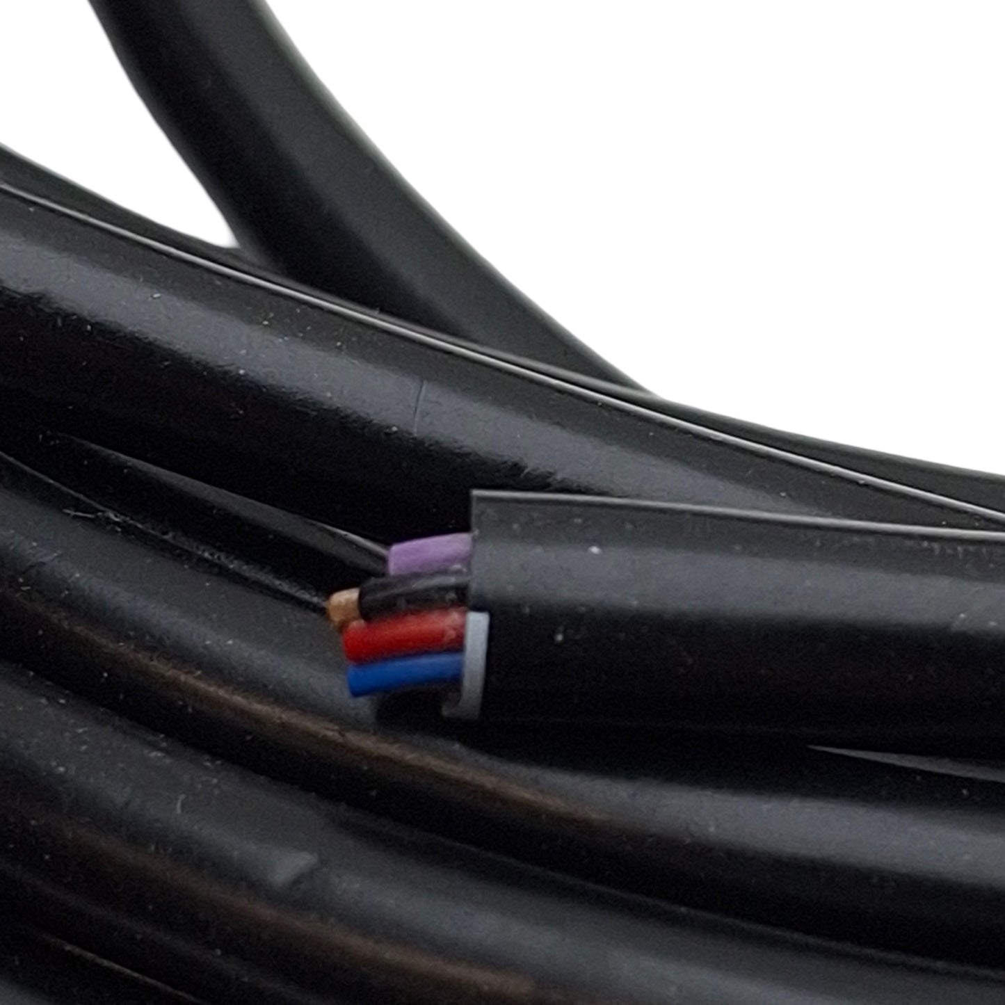 New Phoenix Contact 1554885 Sensor/Actuator Cable, 12-Pin M12 Female to Leads, 10m