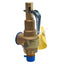 New – Open box Apollo 19-KEDA-100 Safety Valve, 100psig Set, 3/4in M x 1in F NPT, 1152LB/HR