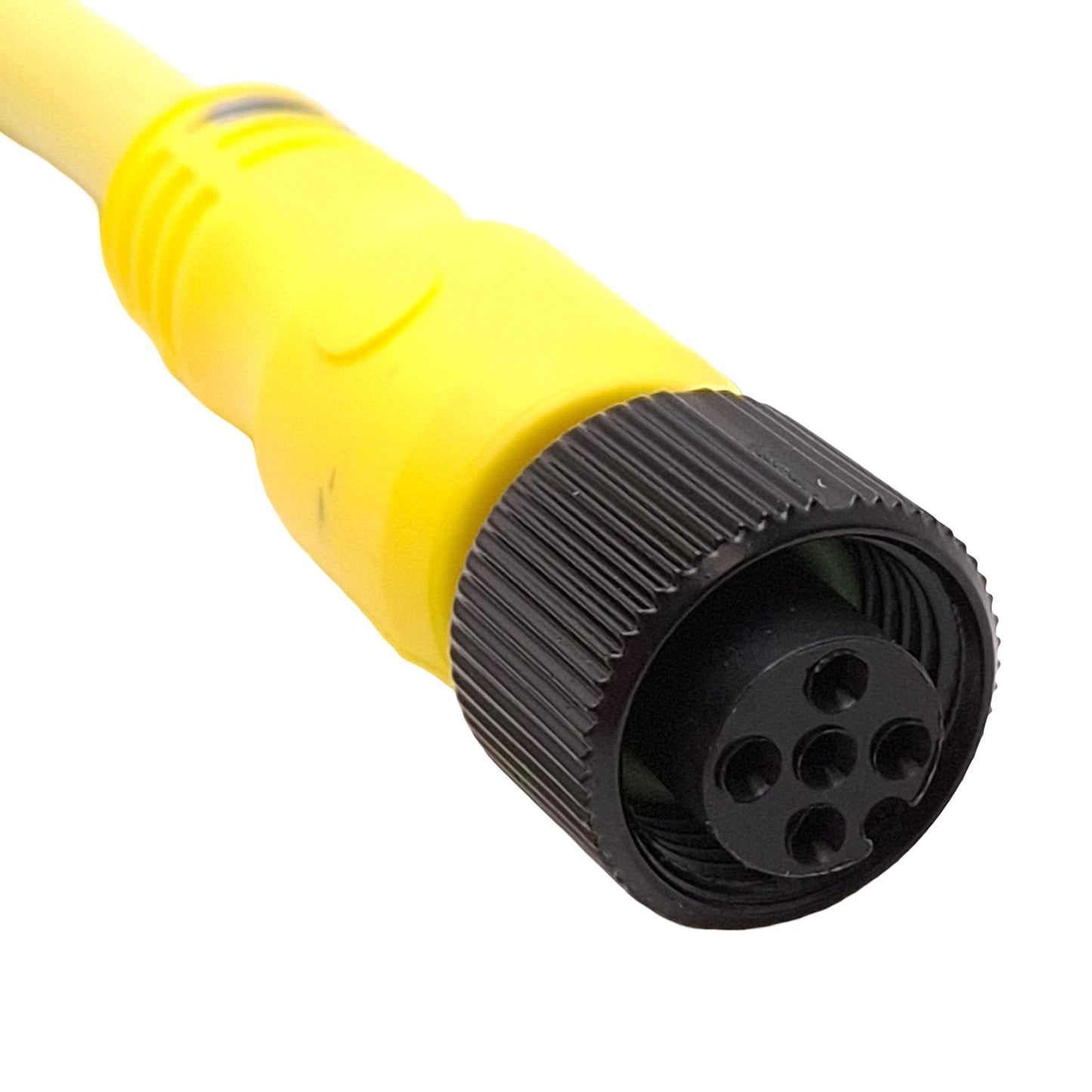 New Allen Bradley 889D-F5ACDM-10 Cordset, DC Micro M12 5-Pin Male to Female, 10m