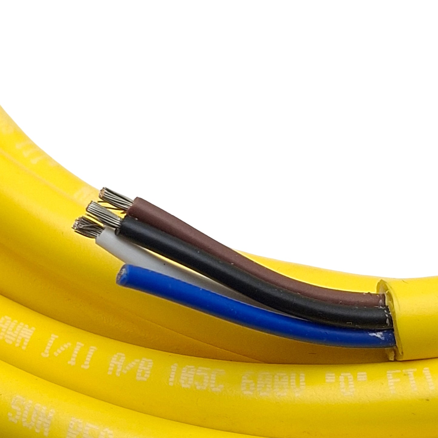 Used Numatics TD0405MAE0000000 Cordset 4-Pin M12 90° Female to Leads 4A 300VAC/DC, 4m