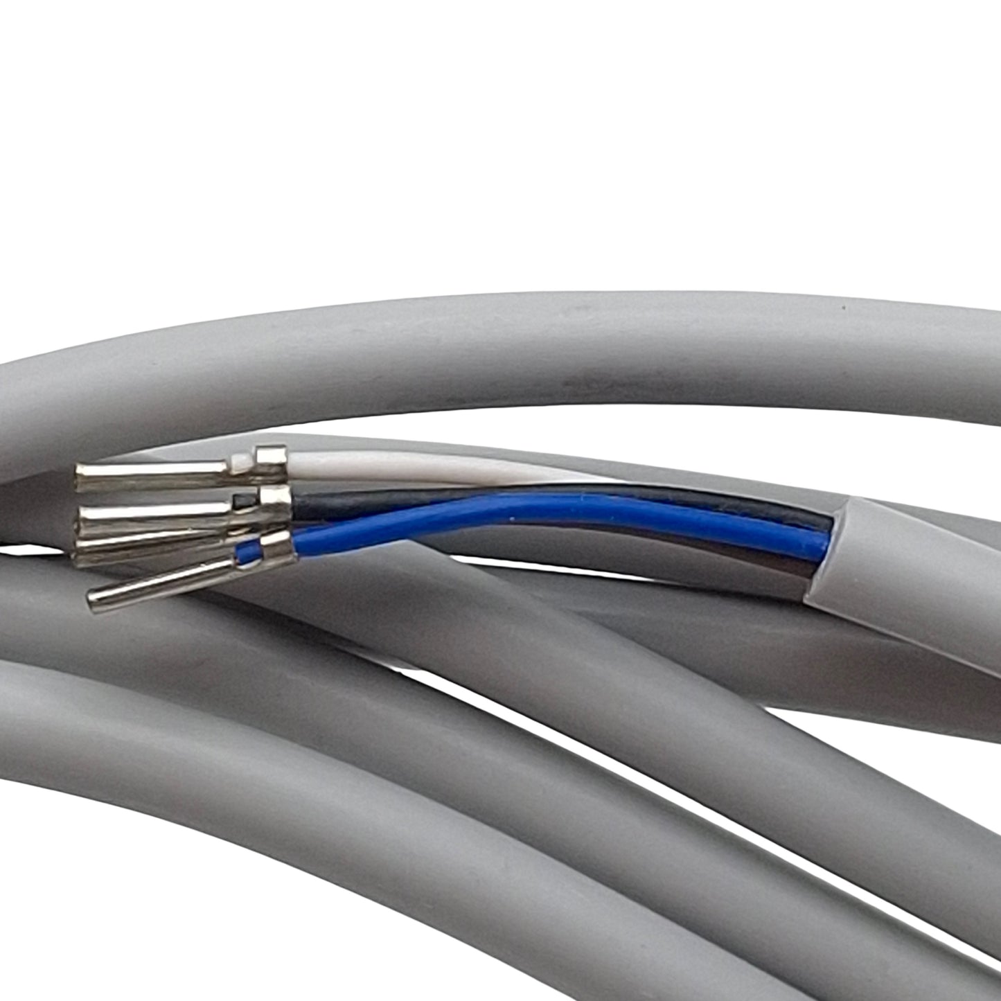 New – Open box Numatics DPS280-8-4-ST-2 Cordset, 4-Pin M8 Female to Flying Leads, 2m