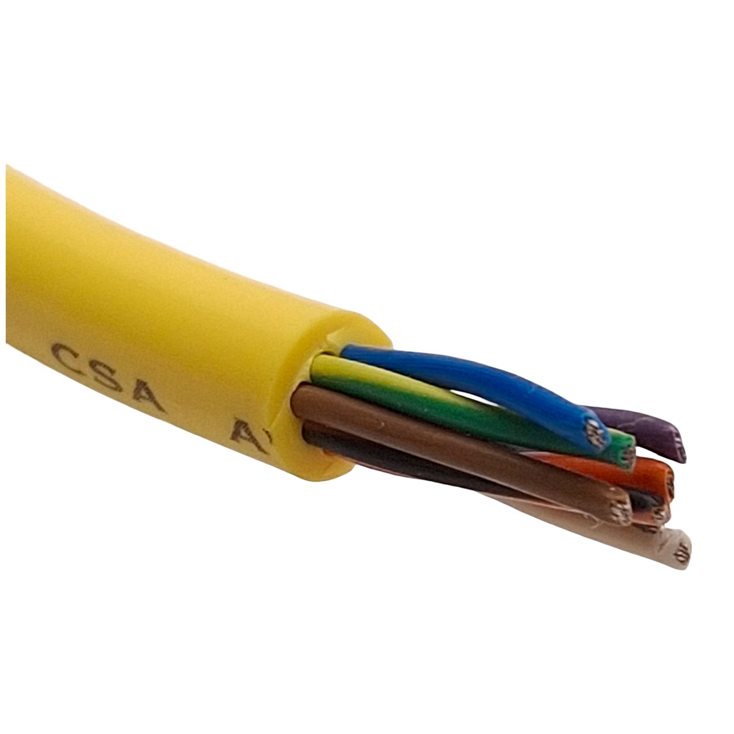 Used Banner QDE-815D Single-Ended Cordset, 75VAC/DC 2A, M12 8-Pin Female, 2.5m