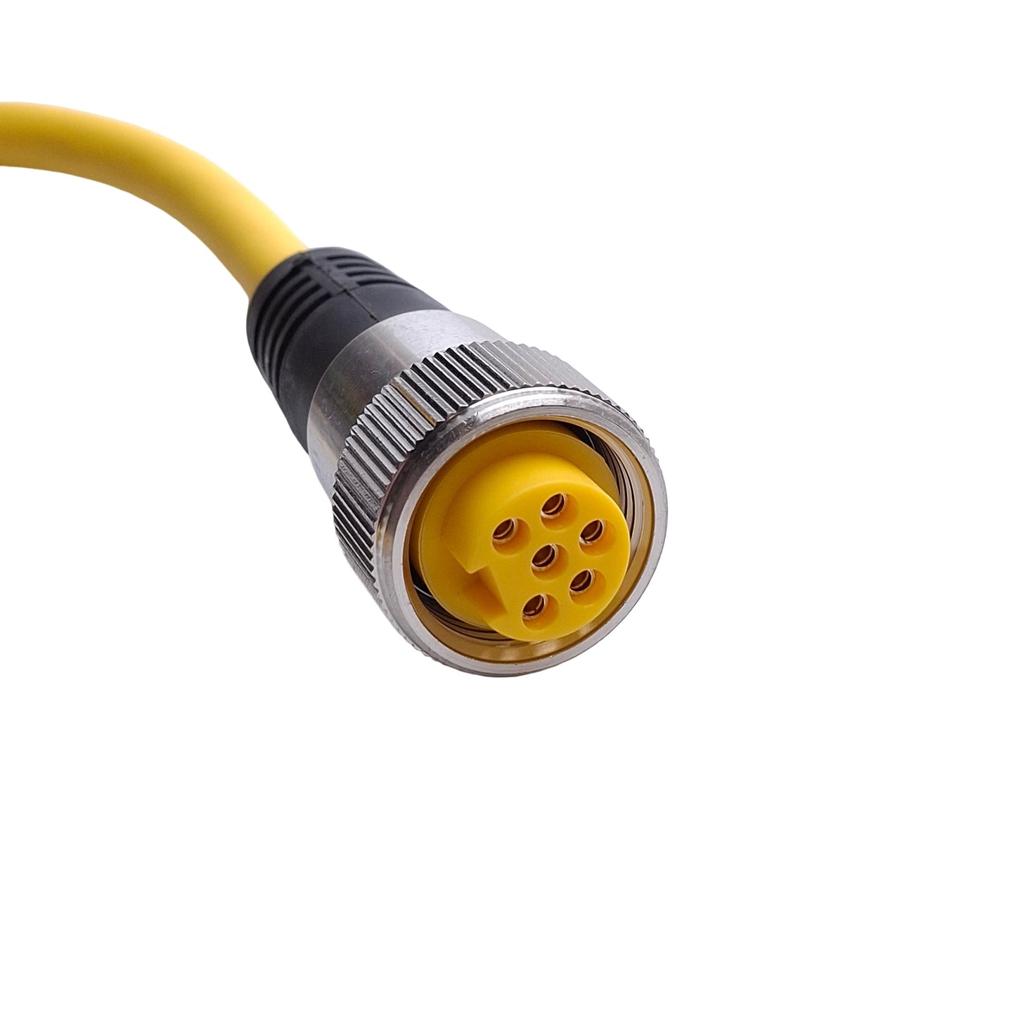 New Turck P-RKV 63-030-1M Cordset 6 Pin 7/8" -16 UN, Straight, Female 600VAC, 8A