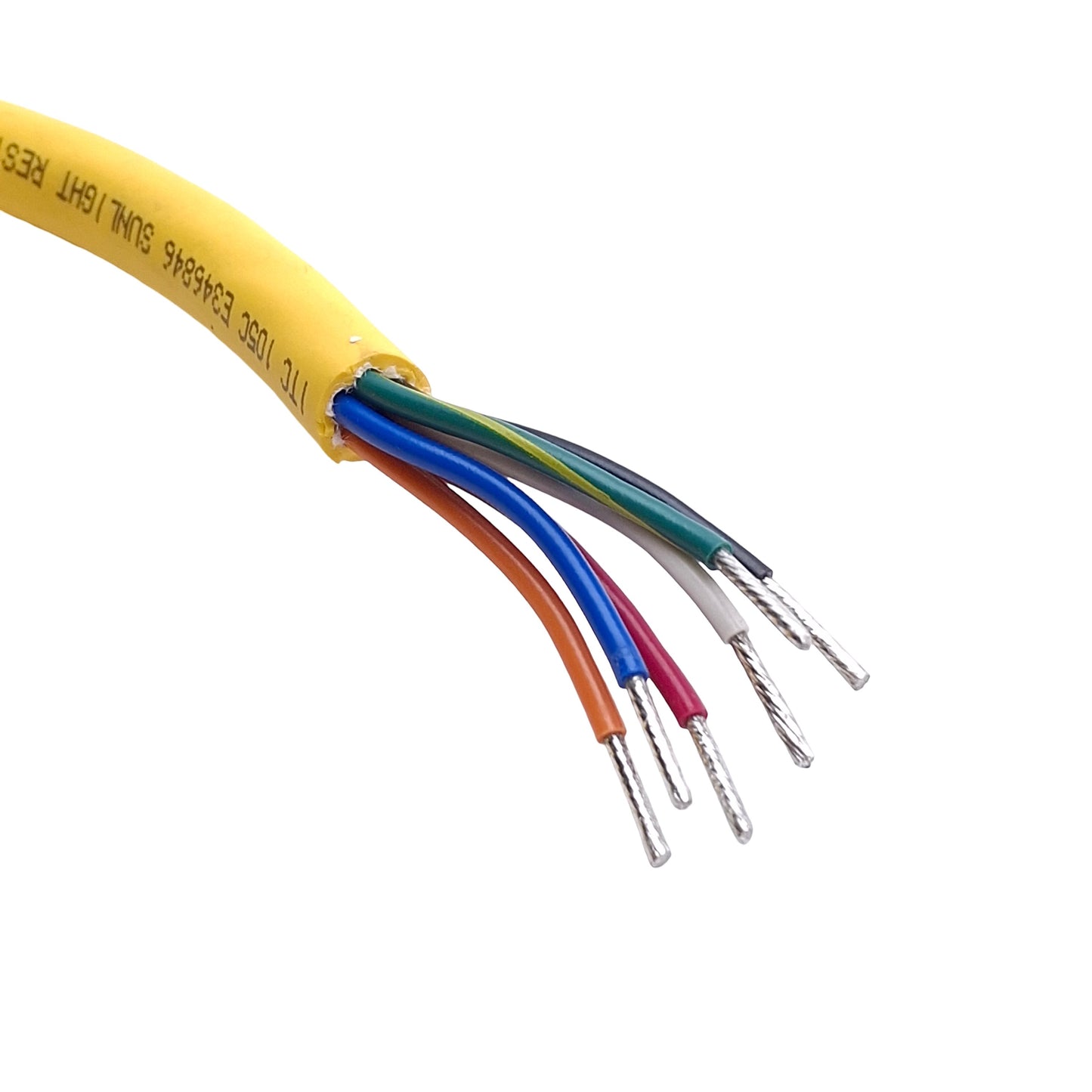 New Turck P-RKV 63-030-1M Cordset 6 Pin 7/8" -16 UN, Straight, Female 600VAC, 8A