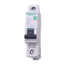 New – Open box Schneider Electric M9F14106 Circuit Breaker, 1-Pole 6A, 240VAC Max, DIN Rail