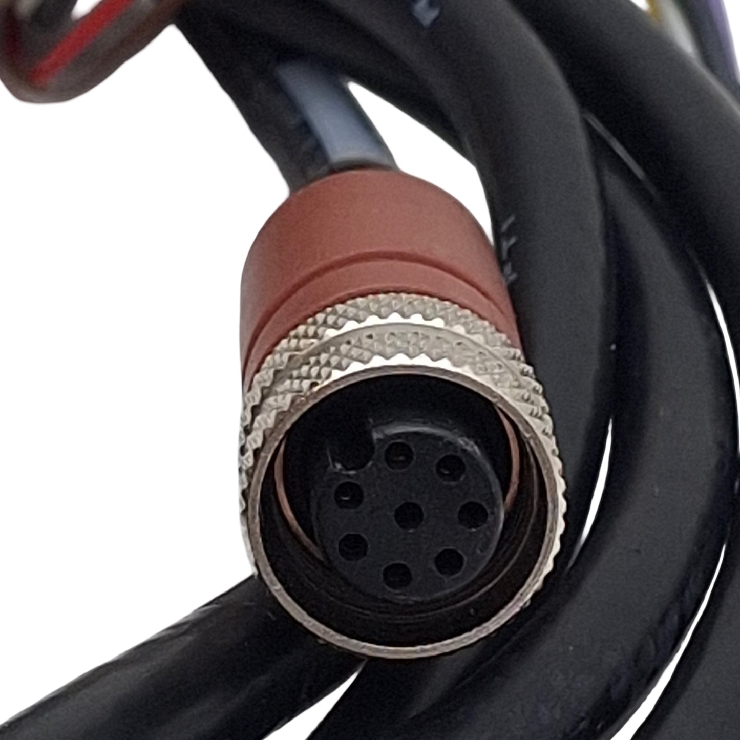 Used Omron STI 60567-3030 Light Curtain Cable, M12 8-Pin Female to Flying Leads, 4ft