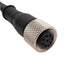 Used Banner MQDC2S-830 70977 Single-Ended Cordset, 30V 2A, M12 8-Pin Female, 5.0m