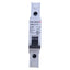 New – Open box Carlo Gavazzi GMB631PC3 Circuit Breaker 1-Pole, 3A, 240VAC, DIN Rail Mount