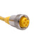 Used Lot of 2 Turck RKM 40-6m Mini Fast Single Ended Cordset 7/8in 4-Pin, 16ft Length