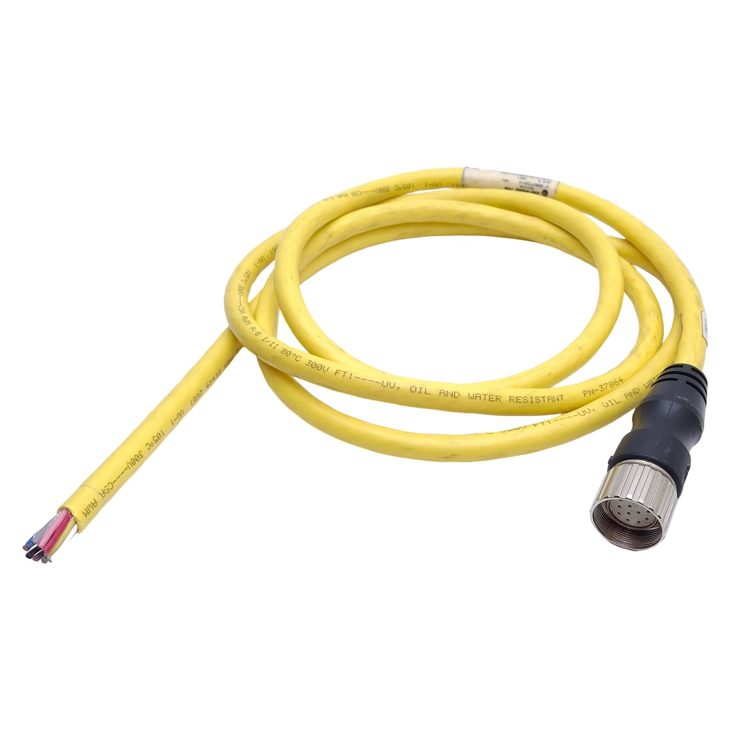 Used Allen Bradley 889M-F12AH-2 Cordset, M23 12-Pin Female to Flying Leads, 2m