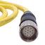 Used Allen Bradley 889M-F12AH-2 Cordset, M23 12-Pin Female to Flying Leads, 2m
