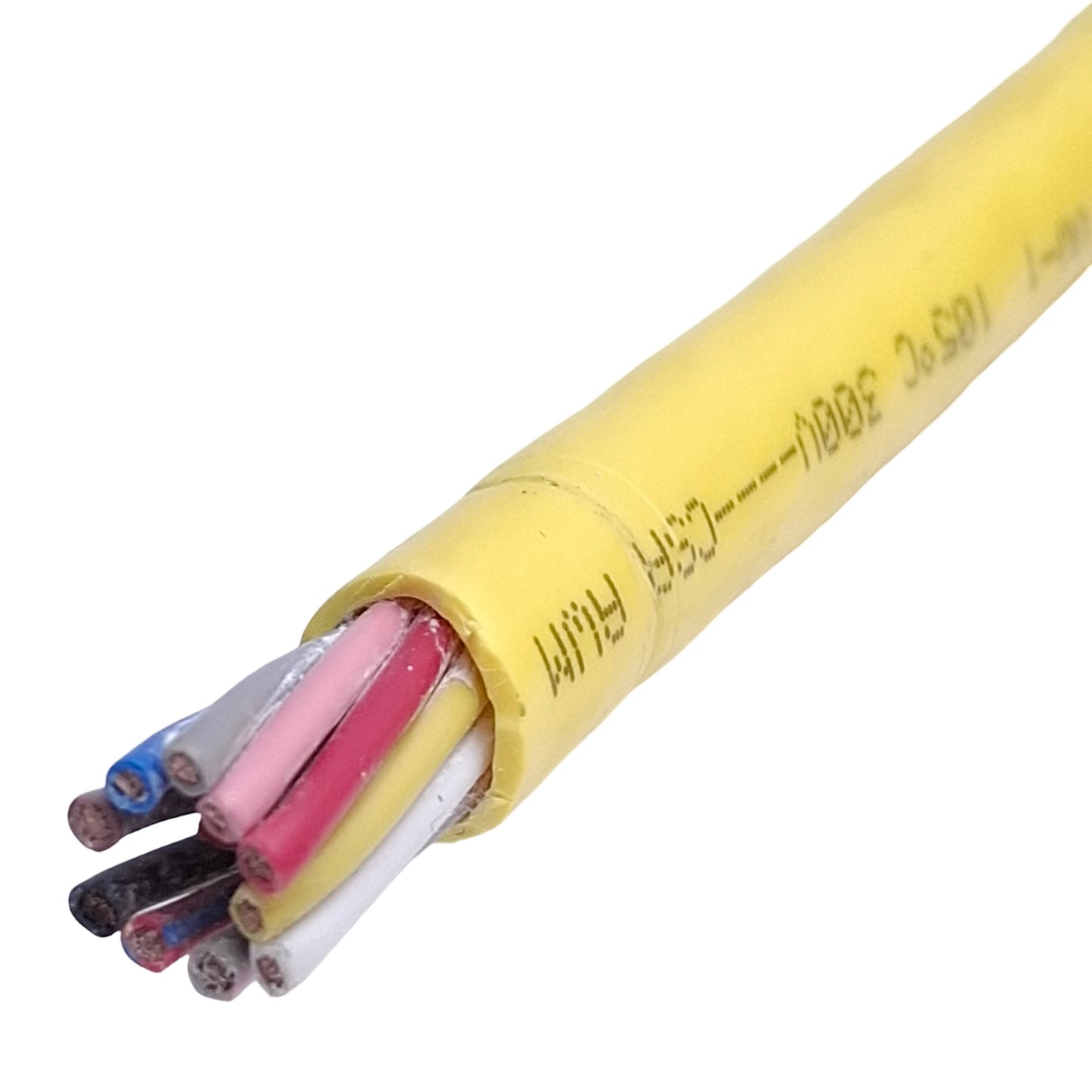 Used Allen Bradley 889M-F12AH-2 Cordset, M23 12-Pin Female to Flying Leads, 2m