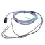 Used Lappkabel 201849-005 Motor Power Cable, 4-Pin Female to Flying Leads, 3.5 Meters