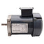 Used Marathon 5K35MNB114A AC Motor, 1/2HP, 3Ø 208-230/460VAC, 1725rpm, NEMA 56C