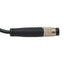 Used Banner D12SP6FPQ 33713 Fiber Optic Sensor, PNP, 10-30VDC, 4-Pin M8 Male