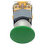 Used EAO 704.900.5 Green Momentary Push Button Switch, ø22mm, 1NC/1NO, 10A 500VAC Max