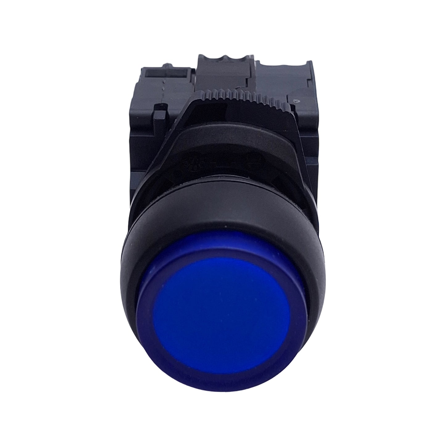 Used Allen Bradley 800FP-LE6 Illuminated Blue Pushbutton, w/ 1NO & 1NC Contact, 22mm