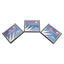 Used Lot of 3 SanDisk SDCFB-256-201-00 CompactFlash Memory Card, 256MB Capacity