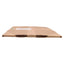 New Pfaudler 3168632 16" Type CR Style NSBN Bullnose Gasket 16-1/2" ID, 19" OD