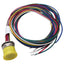 New – Open box Turck CFK 12-11-1 Actuator and Sensor Receptacle, 12-Pin M20 Female to Leads, 1m