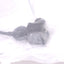 New Allen Bradley 42EF-D2JBAK-F4 Photoelectric Sensor, 10.8-30VDC In, NPN/PNP Out