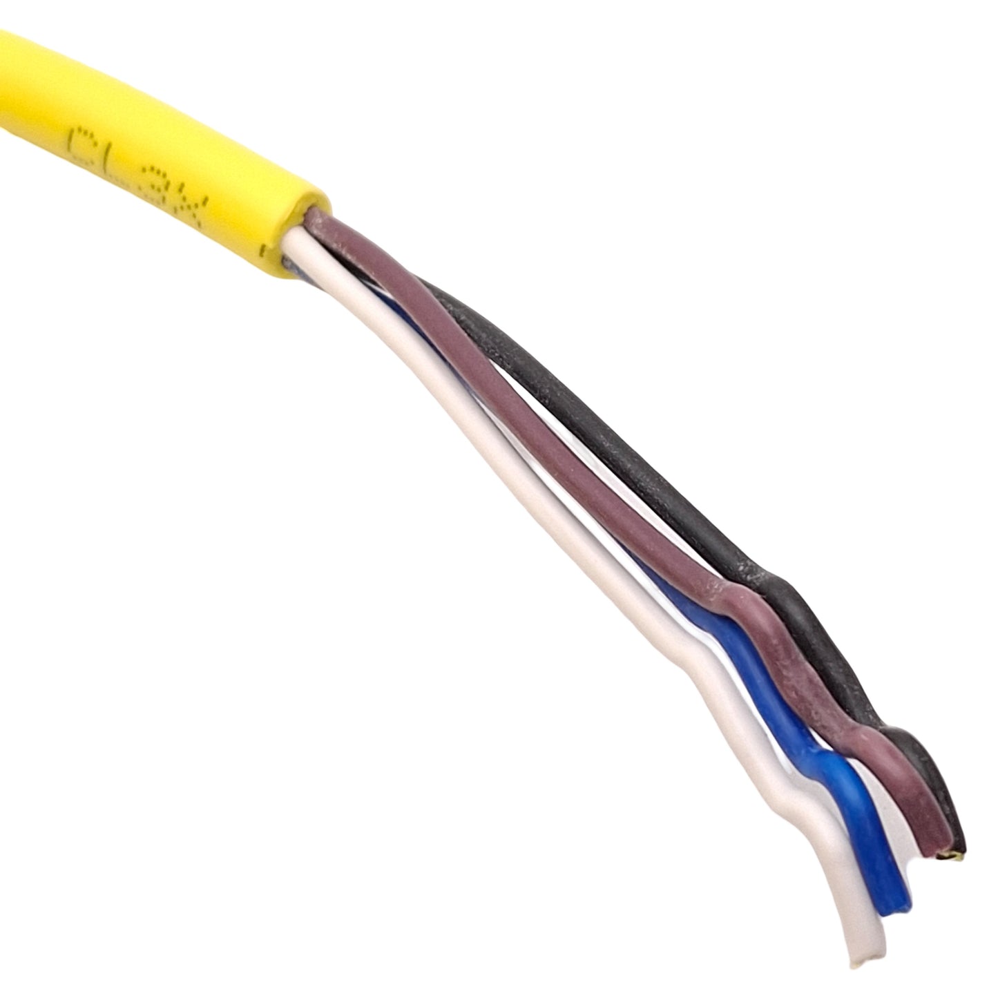 New Allen Bradley 889D-F4AC-10 DC Micro QD Cordset, 4A 250V, M12 4-Pin Female, 10m
