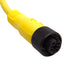 New Allen Bradley 889D-F4AC-10 DC Micro QD Cordset, 4A 250V, M12 4-Pin Female, 10m