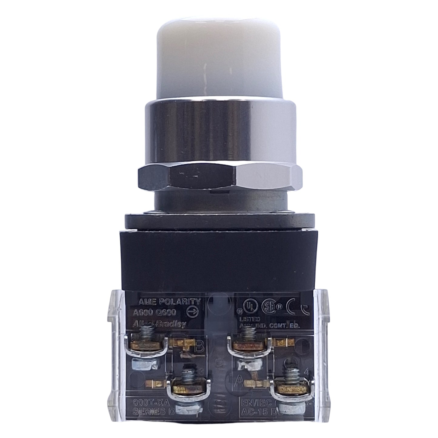 New Allen Bradley 800T-QBH2W White Illuminated Momentary Push Button, ø30mm, 1NO/1NC