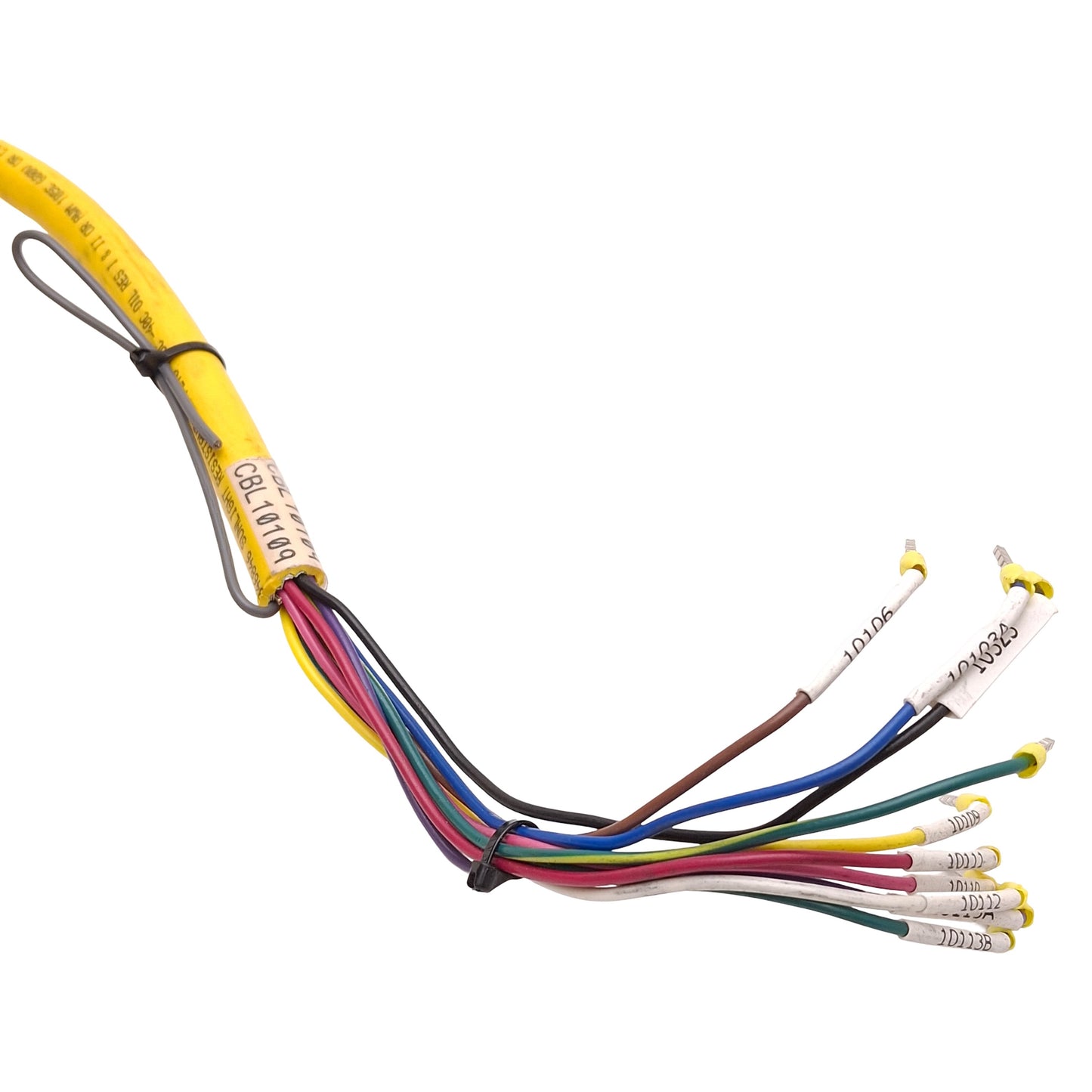 Used Turck CSM 12-11-10 Actuator & Sensor Cordset, M23 12-Pin Multifast Male, 5m