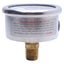 New PIC Gauges 19RZ21 Liquid Filled Pressure Gauge ø2in, 0 to 160psi, 1/4 NPT