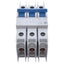 New Allen Bradley 1489-M3D060 Circuit Breaker, 3-Pole, 6A 480Y/277VAC, DIN Rail