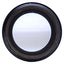 Used Olympus WHSZ10X-H/22 Microscope Eyepiece 10x Mag, Adjustable Focus, 22mm FOV