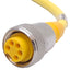 Used Turck RKM 50-6M Single Ended Cordset 7/8in-16UN 5-Pin Minfast Female, 6m