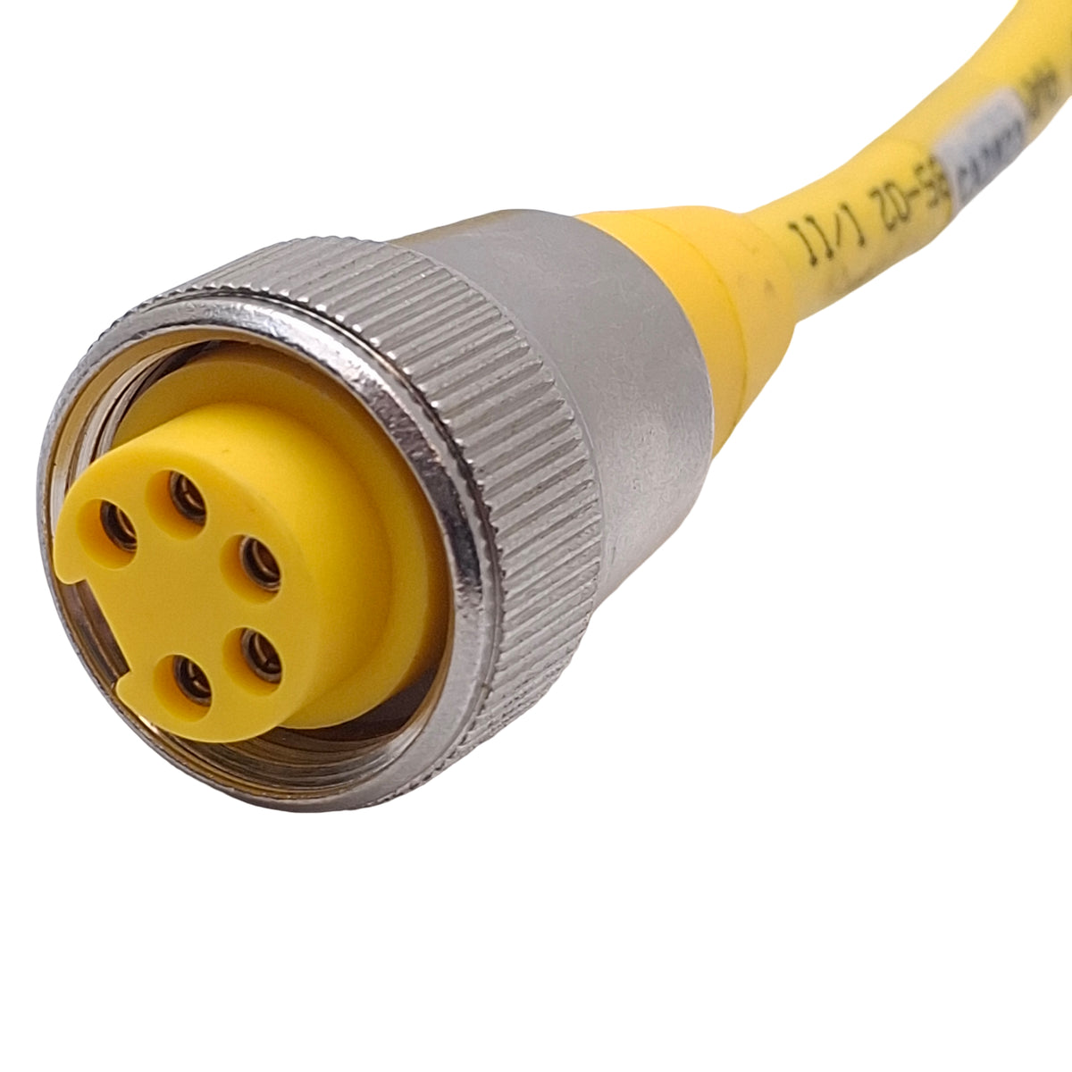 Used Turck RKM 50-6M Single Ended Cordset 7/8in-16UN 5-Pin Minfast Female, 10ft