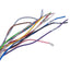 Used Allen Bradley 889M-F12AH-5 Cordset, M23 12-Pin Female to Flying Leads, 15ft