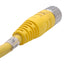 Used Allen Bradley 889M-F12AH-5 Cordset, M23 12-Pin Female to Flying Leads, 15ft