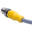 Used Turck RKC 6T-2-RSC 6T Cordset M12 Straight 6-Pin Male to Female, 2m Length