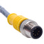 Used Turck RKC 6T-2-RSC 6T Cordset M12 Straight 6-Pin Male to Female, 2m Length