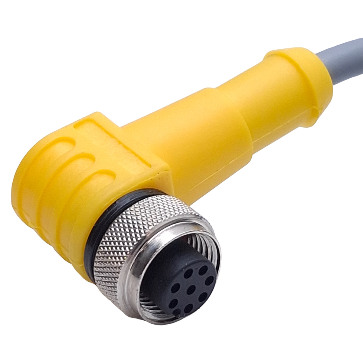 Used Turck WKC 6T-8 Single-Ended Cordset M12 Right-Angle 6-Pin Female, 10ft Length