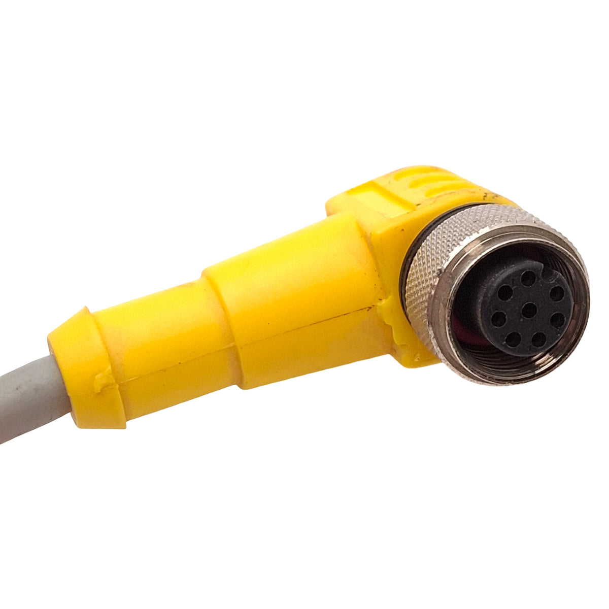Used Turck WKC 6T-2-WSC 6T/S101 Extension Cable, 90° M12 6-Pin Male to Female, 2m