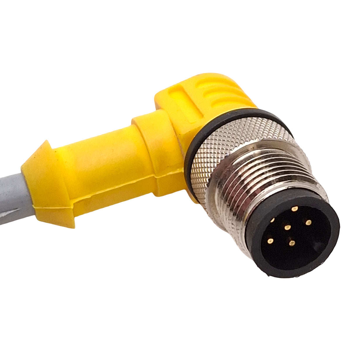 Used Turck WK 4.6T-2-WS 4.6T Extension Cable Right Angle M12 6-Pin Male to Female, 2m