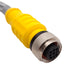 Used Lot of 2 Turck RKS 4.4T-6 Single-Ended Cordset, 250V 4A, M12 4-Pin Female, 5m